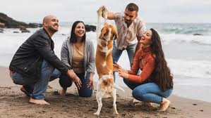 Perfect Social Bond Between Humans and Dogs